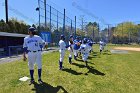 Baseball vs WPI  Wheaton College baseball vs Worcester Polytechnic Institute. - (Photo by Keith Nordstrom) : Wheaton, baseball